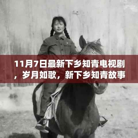 第1193页