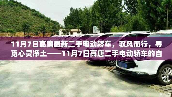 在线留言 第378页