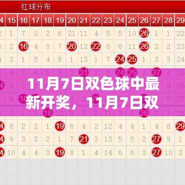 11月7日双色球最新开奖全面介绍与评测