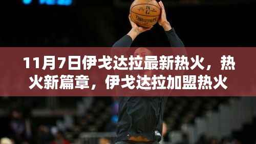 伊戈达拉加盟热火指南,11月7日新篇章,详细步骤适用于初学者与进阶用户