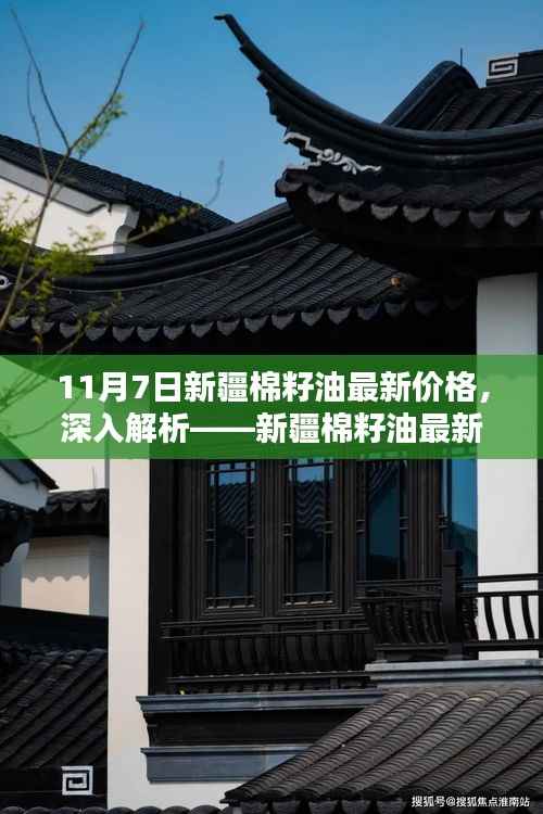 新疆棉籽油最新价格深度解析(11月7日版概览)