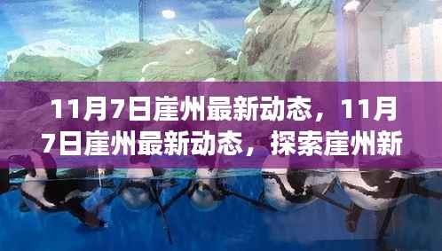 11月7日崖州最新动态,探索新面貌,感受时代脉搏