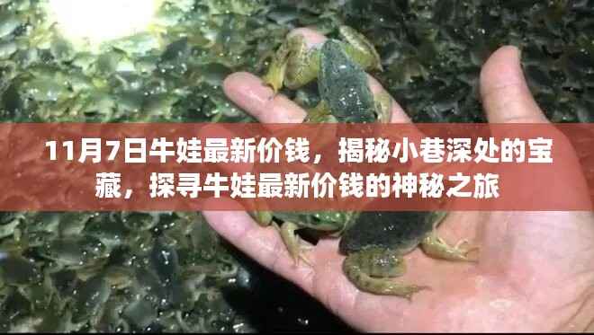 探寻牛娃最新价钱，揭秘小巷深处的宝藏之旅