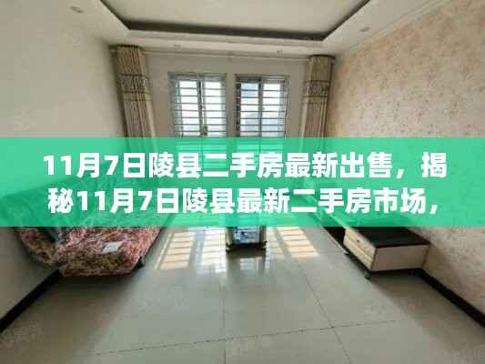 揭秘最新陵县二手房市场,优质房源出售指南(11月7日更新)
