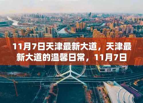 天津最新大道温馨日常,11月7日的快乐时光