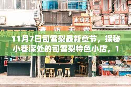 探秘司雪梨特色小店,最新章节启示与小巷深处的惊喜