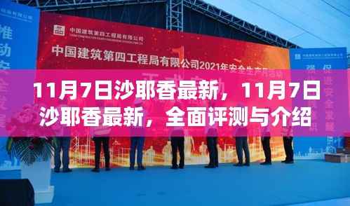 11月7日沙耶香全面评测与介绍,最新资讯一网打尽