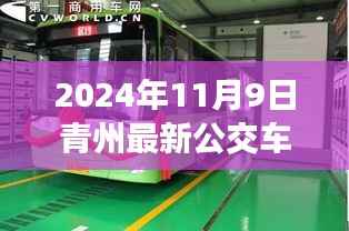 青州公交新篇章,揭秘2024年最新公交车路线