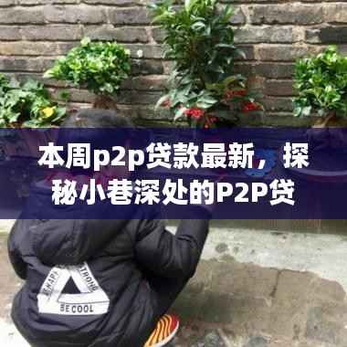 探秘小巷深处的P2P贷款新星,本周金融新风尚引领潮流的P2P贷款最新动态!