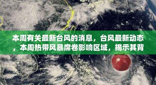 虎视眈眈 第14页