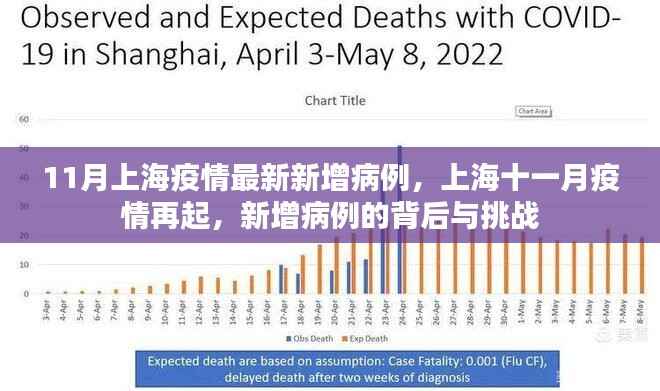 上海十一月疫情再起，新增病例背后的挑战与应对