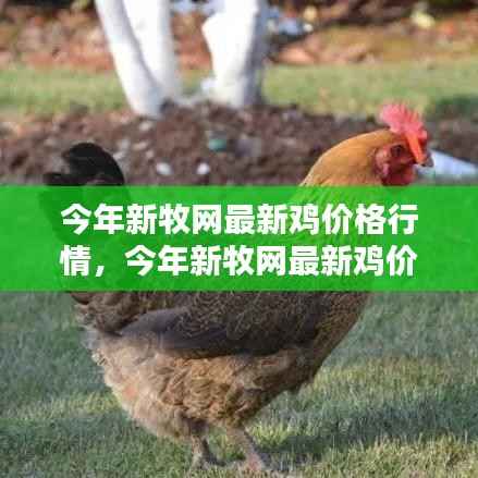 新牧网最新鸡价格行情分析与趋势预测