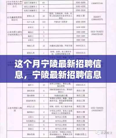 宁陵最新招聘信息获取攻略,初学者快速掌握求职技巧