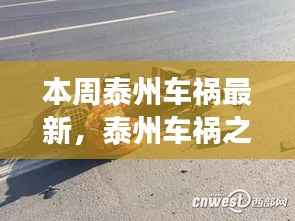 探寻泰州自然美景之旅，车祸之外的心灵宁静力量本周更新报告