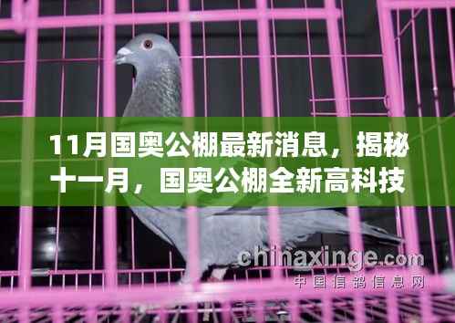 对答如流 第14页