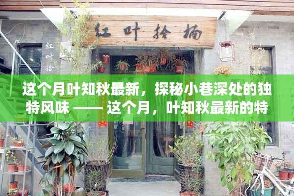 这个月叶知秋最新特色小店，探秘小巷深处的独特风味美食之旅