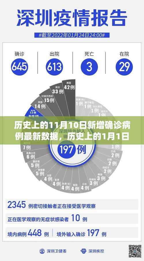 历史上的关键日期疫情数据深度解析,11月10日新增病例与1月1日疫情观点阐述