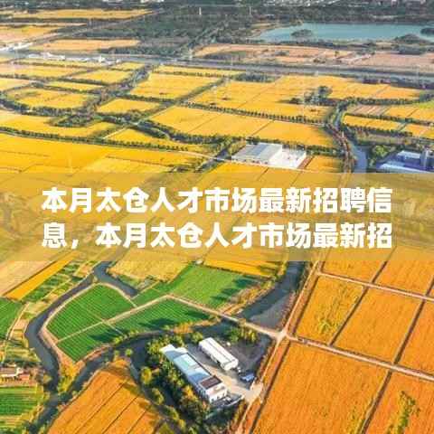 在线留言 第357页