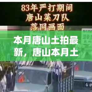 精品展示 第362页