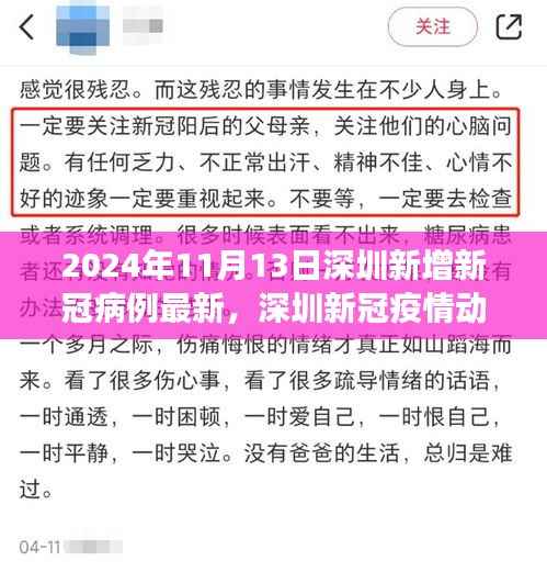 2024年11月13日深圳新冠疫情动态,最新病例增长与防控进展