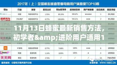 蜂蜜销售实战指南,最新销售方法,适合初学者与进阶用户实战步骤解析(11月最新)