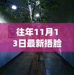 走马观花 第11页