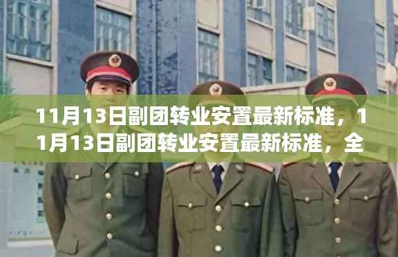 11月13日副团转业安置最新标准解读,特性、用户体验与目标用户群体分析