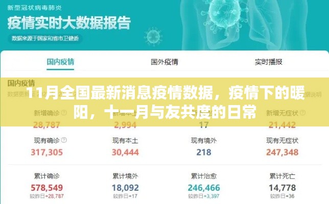 11月疫情数据下的暖阳,与共度日常