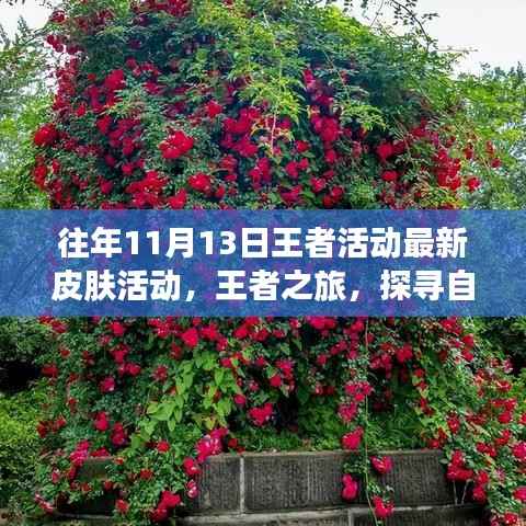 往年王者活动揭秘,探寻自然美景的心灵宁静之旅,最新皮肤活动启示