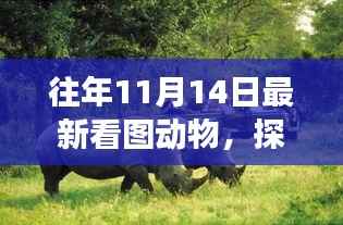 没精打采 第13页