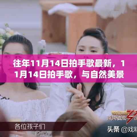 11月14日拍手歌,与自然共舞,内心的宁静之旅