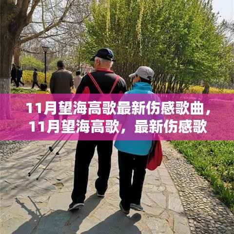 11月望海高歌最新伤感歌曲，情感深度与启示