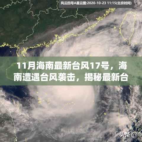 眉飞色舞 第11页