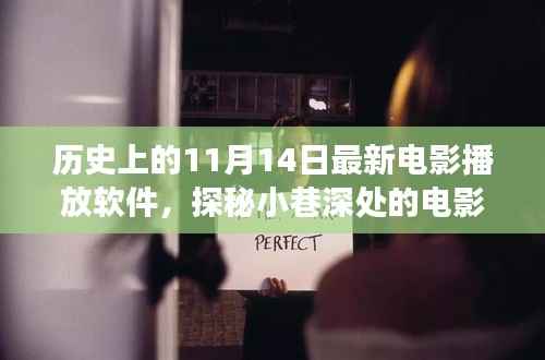 历史上的11月14日,探秘独特电影播放软件,小巷深处的电影时光
