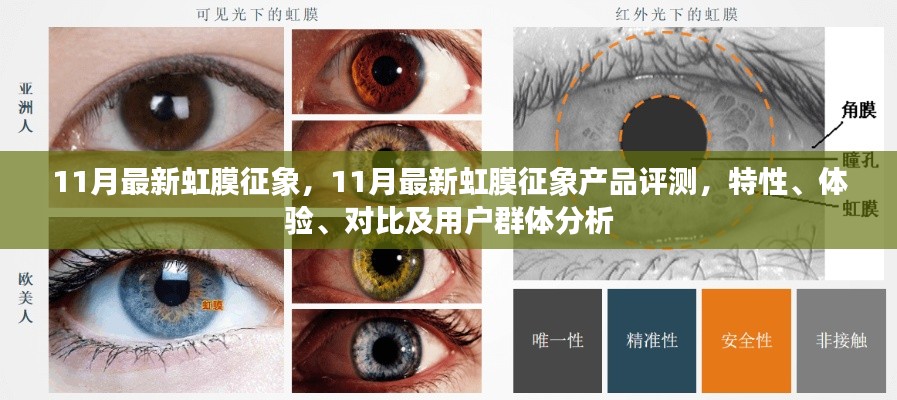 11月最新虹膜征象产品深度解析,特性、体验、对比及用户群体洞察