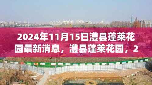 澧县蓬莱花园崭新篇章,2024年11月15日最新消息