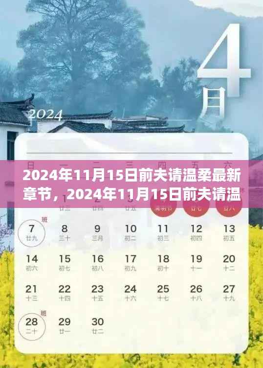 2024年11月15日前夫请温柔,最新章节获取与阅读全攻略