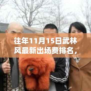 揭秘武林风韵英雄豪杰,往年11月15日最新出场费排名揭晓!