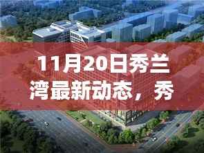 秀兰湾11月20日最新动态,阳光下的温馨日常