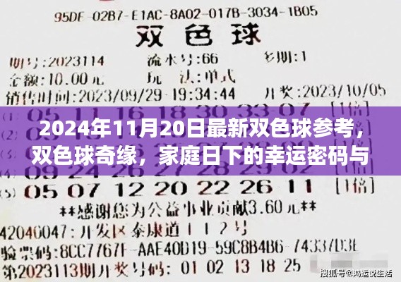 双色球奇缘,家庭日下的幸运密码与深厚友情(2024年11月最新参考)