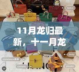 十一月龙归新篇章开启,探索最新动态,揭秘魅力所在——小红书指南