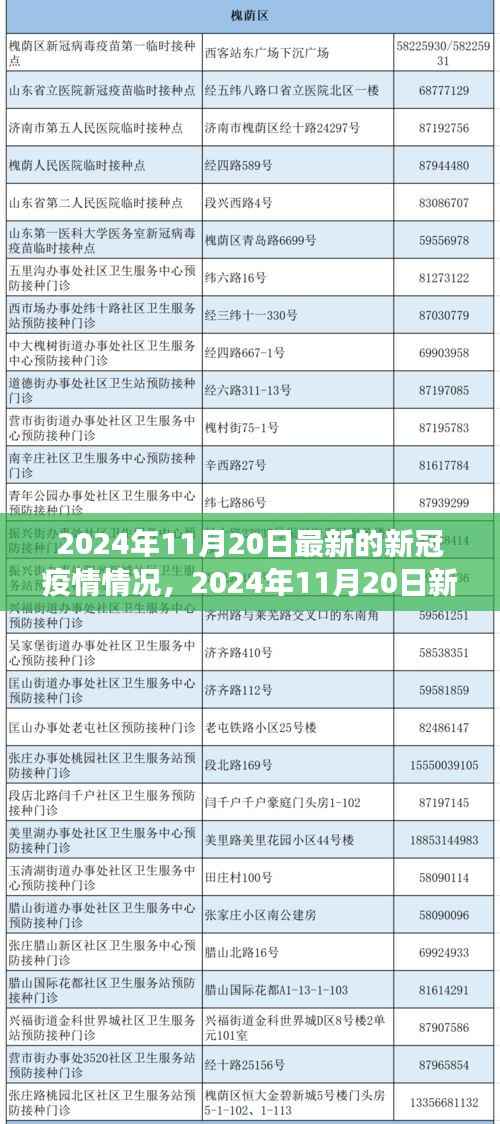 某某视角下的新冠疫情最新形势分析，2024年11月20日最新动态