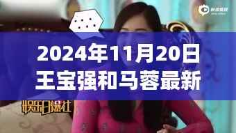 2024年11月20日王宝强和马蓉最新消息,聚焦王宝强与马蓉,最新消息解读与深度探讨(2024年11月20日版)