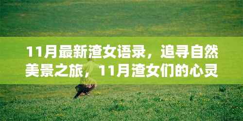 星星打烊 第8页