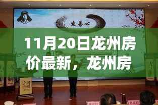 龙州最新房价动态，学习变化的力量，成就梦想的舞台，积极正能量共舞