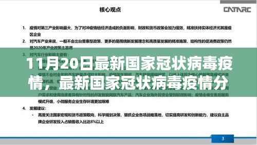 最新国家冠状病毒疫情分析报告,特性解析、竞品对比及用户体验体验(11月20日更新)