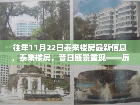 历年11月22日泰来楼房最新信息深度解析,昔日盛景重现的楼市动态