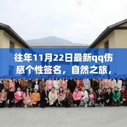 往年11月22日最新qq伤感个性签名,自然之旅,寻找内心的宁静港湾——一个QQ伤感签名背后的故事