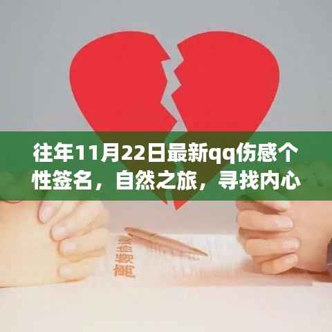 往年11月22日最新qq伤感个性签名,自然之旅,寻找内心的宁静港湾——一个QQ伤感签名背后的故事