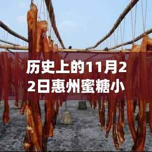 历史上的11月22日惠州蜜糖小城最新房价,惠州蜜糖小城,科技重塑房价,体验未来居住新纪元